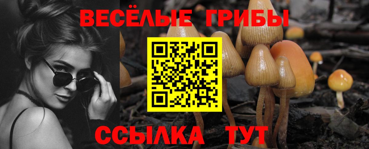 Галлюциногенные грибы MAGIC MUSHROOMS Черкесск